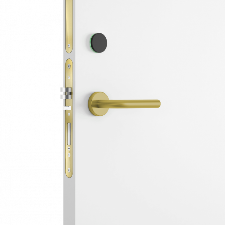 Ælement Fusion - EU / DIN